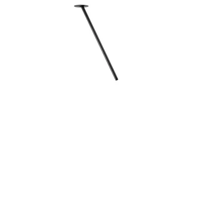 Потолочный светильник Loft it Cane 10359/500 Black