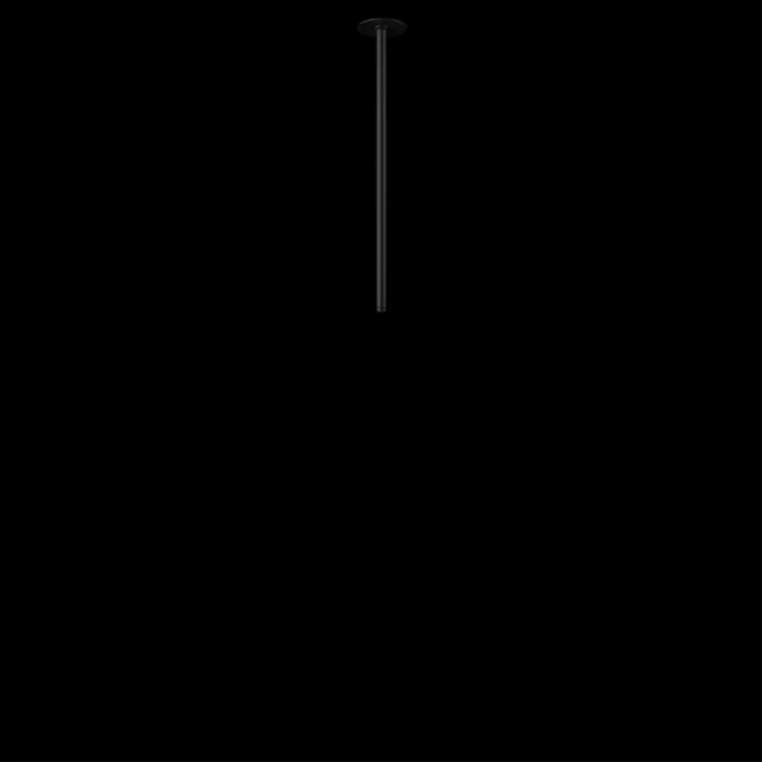 Потолочный светильник Loft it Cane 10359/500 Black