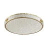 Потолочный светильник SONEX FELICE 7722/140L