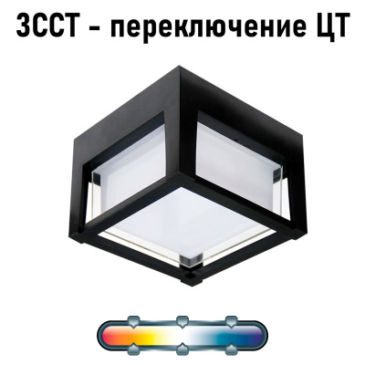Уличный потолочный светильник Arte Lamp ULYSSES A6406PF-1BK
