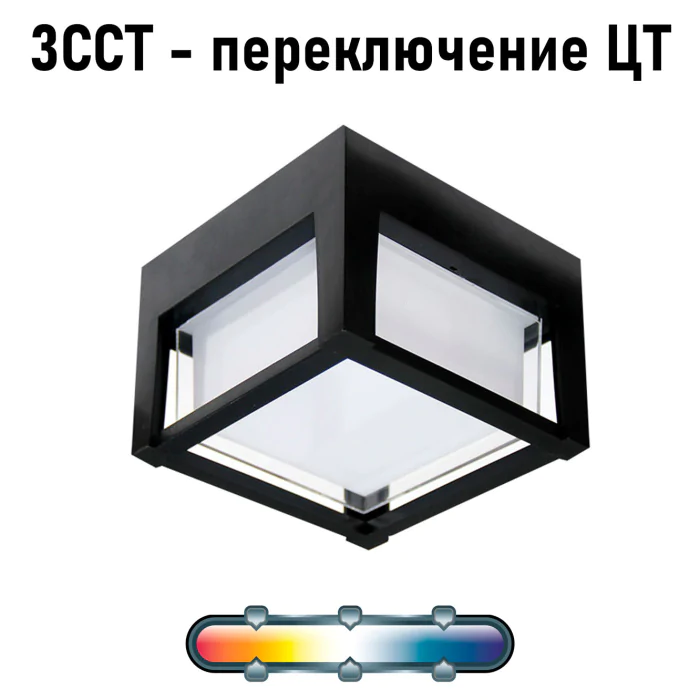 Уличный потолочный светильник Arte Lamp ULYSSES A6406PF-1BK
