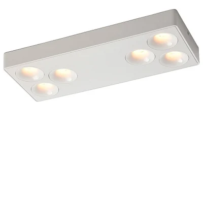 Потолочный светильник BELLATRIX WERTMARK TECHNICAL WTB.O01.007.30.36