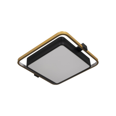 Потолочный светильник LOFT IT 10171