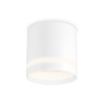 Накладной точечный светильник GX53 с акрилом Ambrella light TN5371