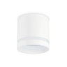 Накладной точечный светильник GX53 с акрилом Ambrella light TN5371