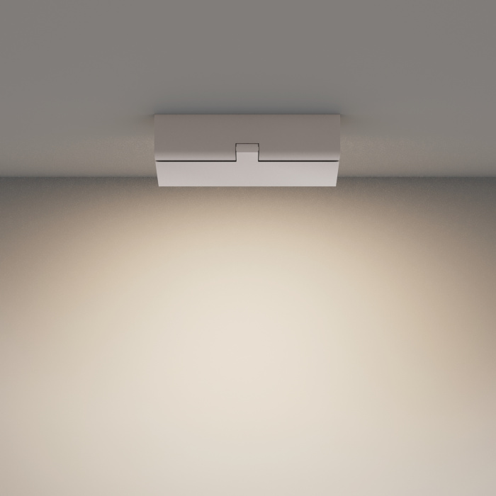 Потолочный светильник Maytoni Basis Rot C133CL-12W4K-W