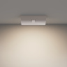 Потолочный светильник Maytoni Basis Rot C133CL-12W4K-W