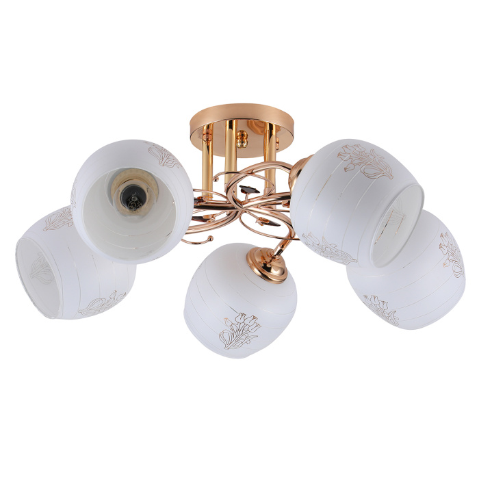 Потолочный светильник ANEMONE ESCADA 1121/5PL