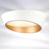 Потолочный светильник Celesta Lightstar 809456