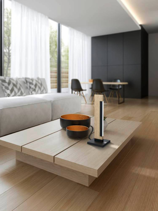 Настольная лампа EGLO CAMACHO 99295