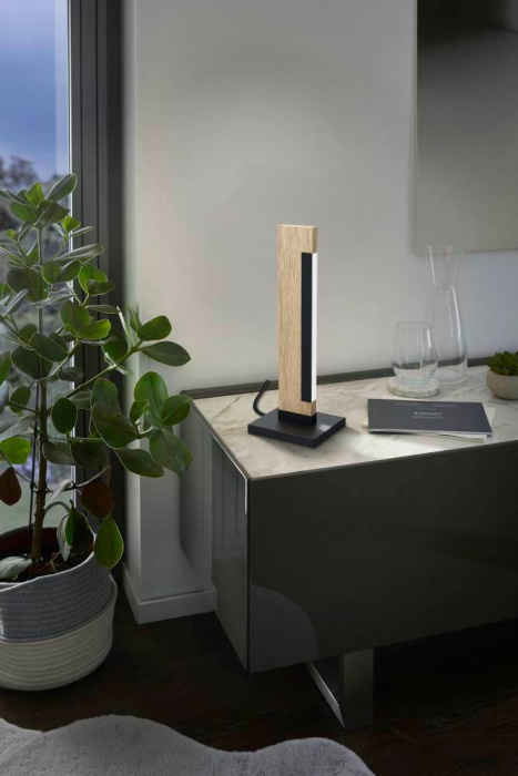 Настольная лампа EGLO CAMACHO 99295