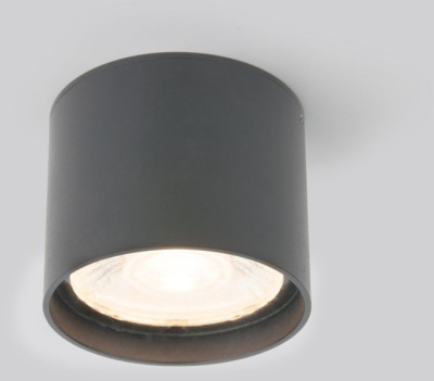 Уличный потолочный светильник Elektrostandard Light led 4690389177019