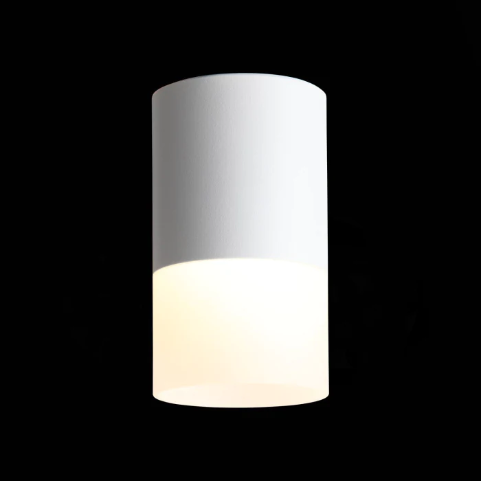 Светильник потолочный Белый LED 1*10W 3000K 780Lm Ra>80 120° D78xH135 170-240V ST100.502.10
