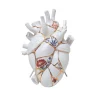 Ваза Seletti Love in Bloom 9929