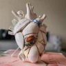 Ваза Seletti Love in Bloom 9929