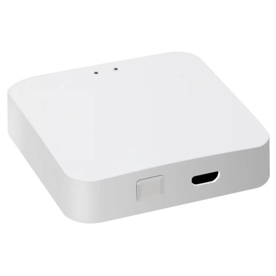 Беспроводной шлюз Zigbee для управления трековыми смарт светильниками iLedex VISION ZGB 1