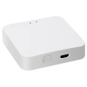 Беспроводной шлюз Zigbee для управления трековыми смарт светильниками iLedex VISION ZGB 1