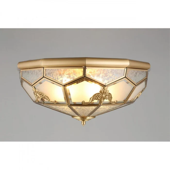 Люстра потолочная Aployt Leoni APL.625.07.04