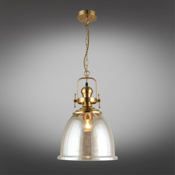 Светильник подвесной Aployt Darunia APL.629.16.01