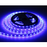 Светодиодная лента RGB с дневным белым светом GS4402 5050 60Led /10W m/ 24V IP20 RGBW+4500K 5m Ambrella light GS4402