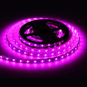 Светодиодная лента RGB с дневным белым светом GS4402 5050 60Led /10W m/ 24V IP20 RGBW+4500K 5m Ambrella light GS4402