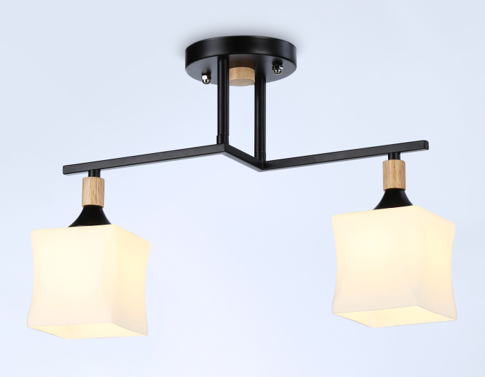 Потолочный светильник Ambrella light TR9486