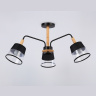 Потолочный светильник со сменной лампой Ambrella light TR4740