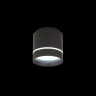 Светильник накладной Citilux Борн CL745021N