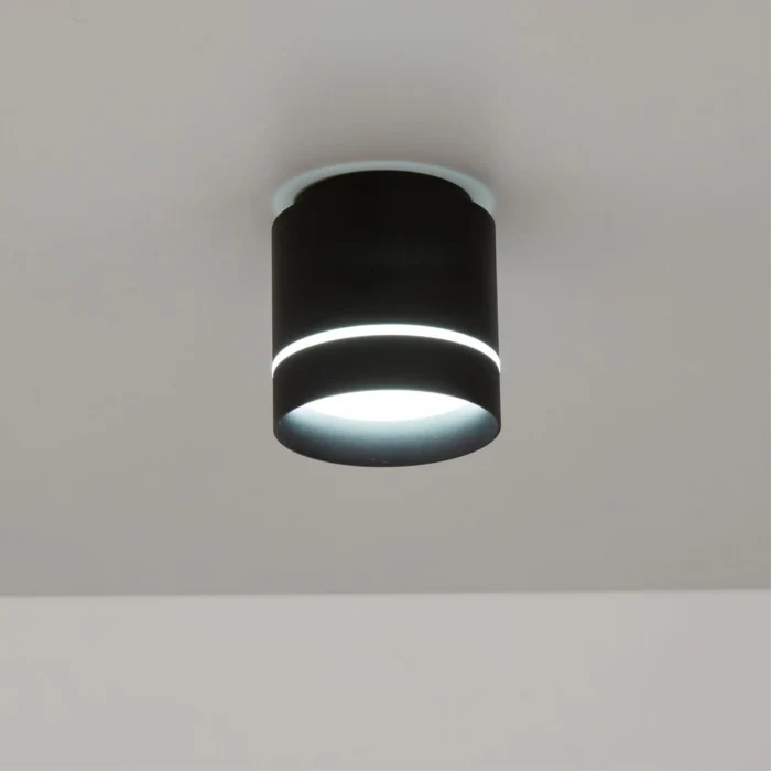 Светильник накладной Citilux Борн CL745021N