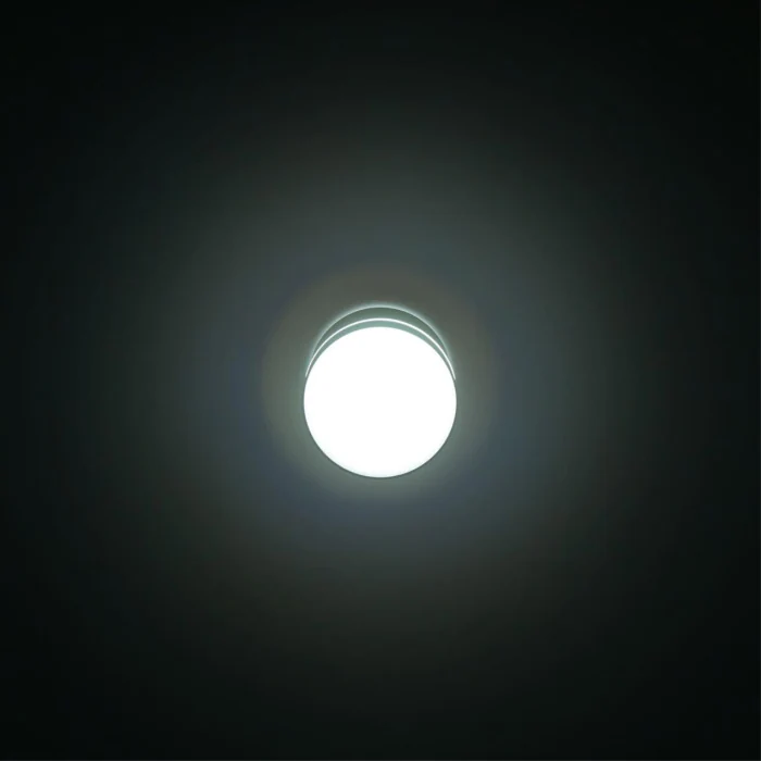 Светильник накладной Citilux Борн CL745021N