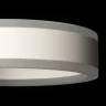 Светильник настенный Citilux Дуэт CL719310