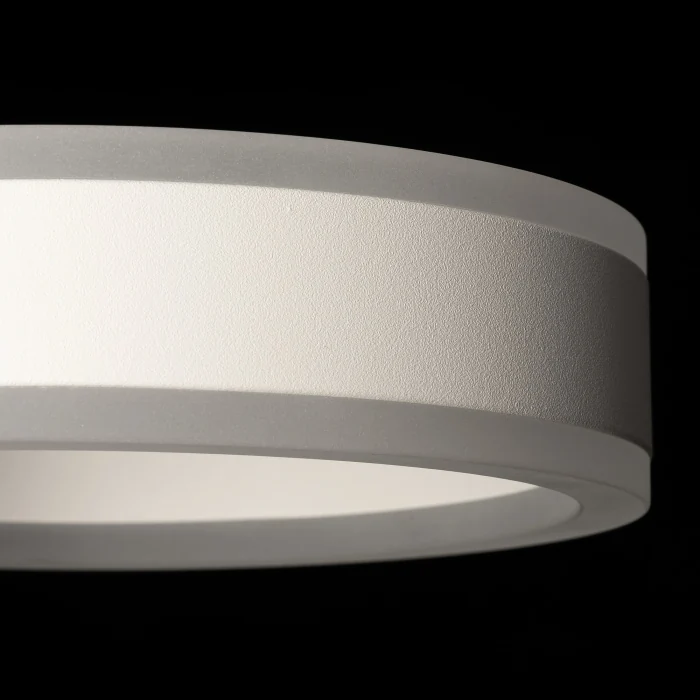 Светильник настенный Citilux Дуэт CL719310