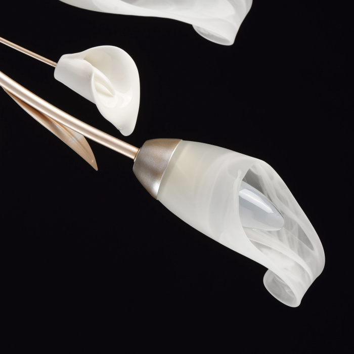 Люстра потолочная MW-Light Восторг 242016306