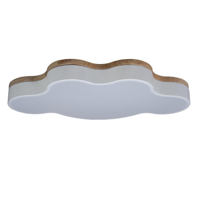 Светильник потолочный Loft it Axel 10005/36 White