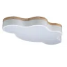 Светильник потолочный Loft it Axel 10005/36 White