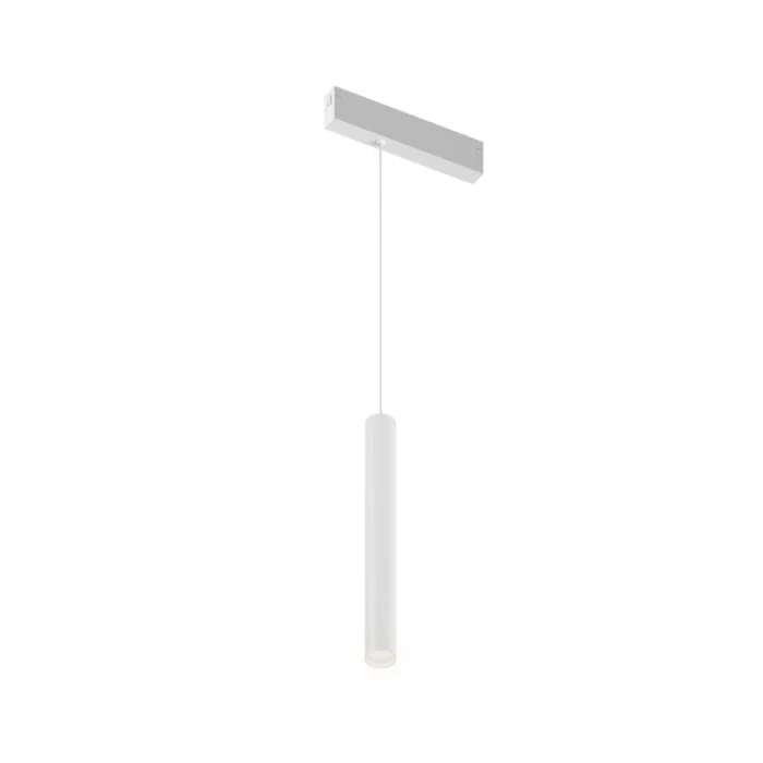 Светильник на шине Denkirs SMART SPOT DK8008-WH