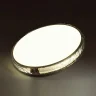 Потолочный светильник SONEX FELICE 7722/65L