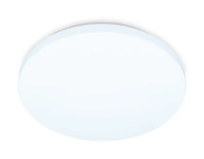 Потолочный светодиодный светильник Ambrella light FZ1010