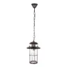 Уличный подвесной светильник Loft it Palermo 100015P