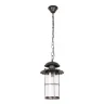 Уличный подвесной светильник Loft it Palermo 100015P