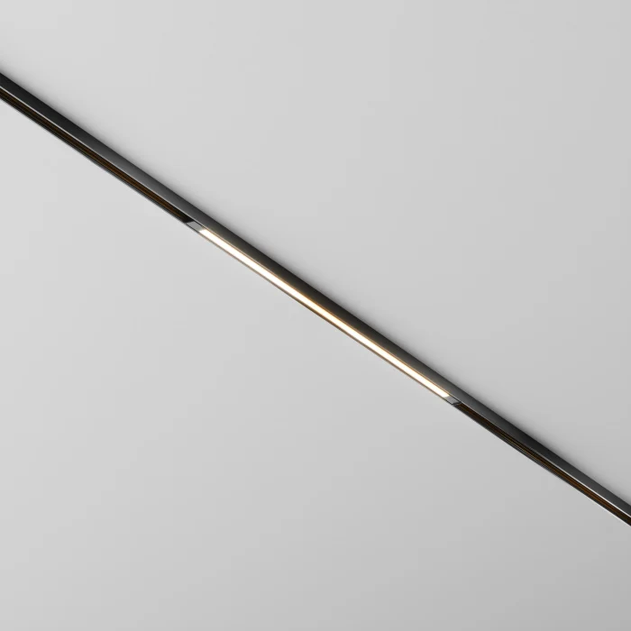 Трековый магнитный светильник Maytoni Technical Basis Exility X TR240-2-12W3K-B