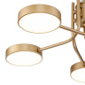 Потолочная люстра на штанге SKYLAR ESCADA 10258/5LED