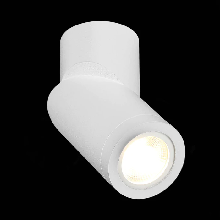 Накладной светильник ST LUCE ST650.502.01