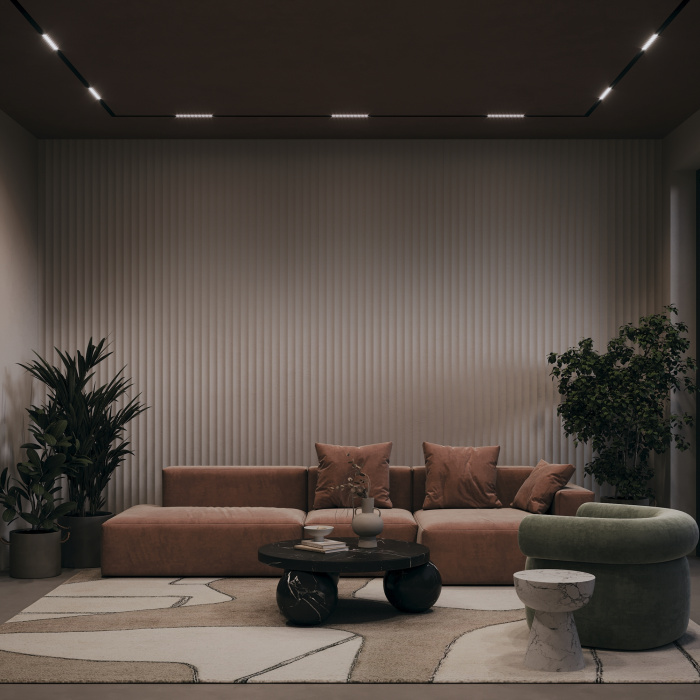 Трековый светильник Maytoni Points TR076-2-20W3K-B