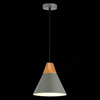 Подвесной светильник evoluce MODICA SLE125113-01