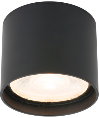 Уличный потолочный светильник Elektrostandard Light led 4690389176975