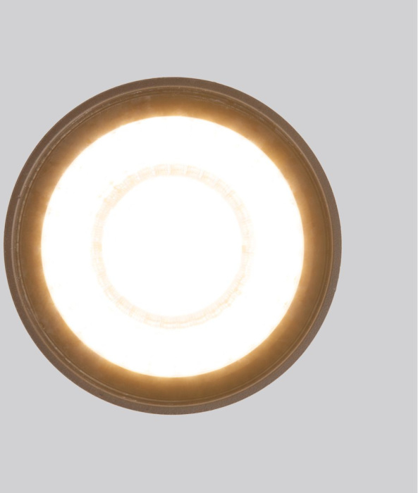 Уличный потолочный светильник Elektrostandard Light led 4690389176975