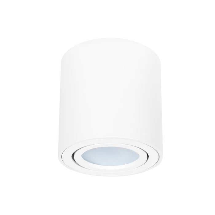 Светильник точечный накладной со сменной лампой Arte Lamp BEID A1513PL-1WH
