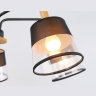 Потолочный светильник со сменной лампой Ambrella light TR4741