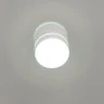 Светильник накладной Citilux Борн CL745020N